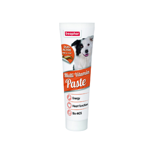 Duo Active Paste Multivitamin Dog 100g