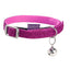 Disco Cat Collar - XS