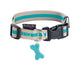 Arlequin Collar - XS