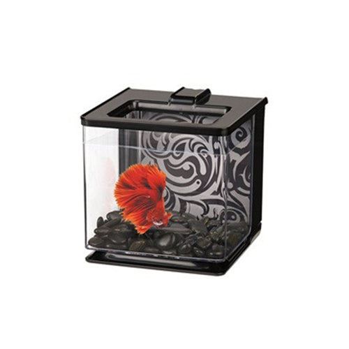 Marina Betta Kit 2.5L - Black