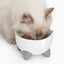 Catit Pixi Fountain - Mint Green/2.5L