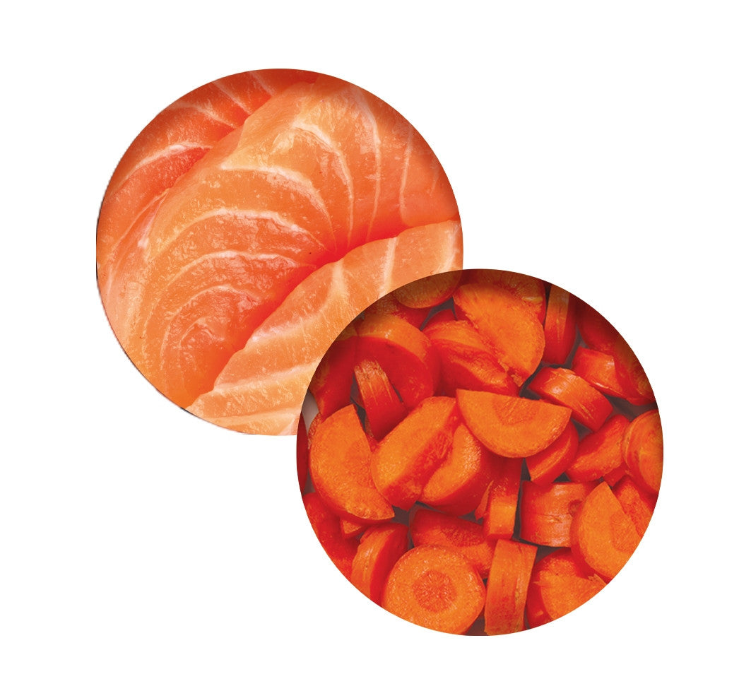 Catit Chicken Dinner, Salmon & Carrot 80 g