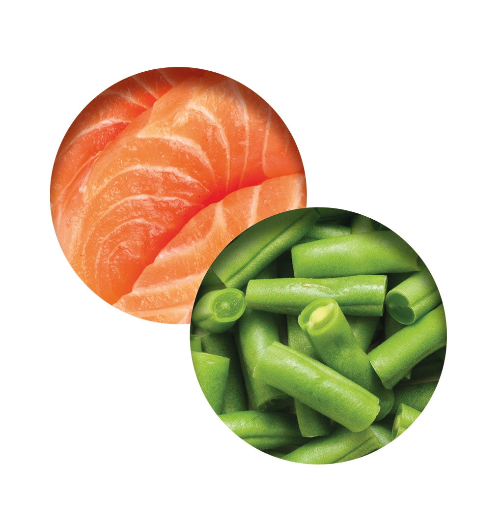 Catit Fish Dinner, Salmon & Green Beans 80 g