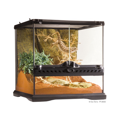 Exo Terra Natural Terrarium – Mini/Wide 30x30x30 cm