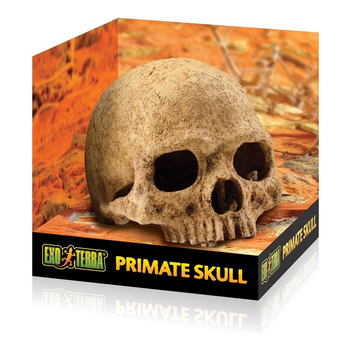 Exo Terra Primate Skull – Terrarium Decoration