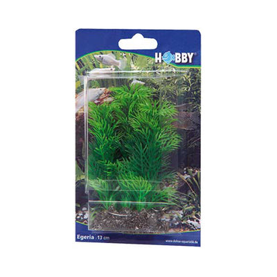 Artificial plant - Egeria 13 cm