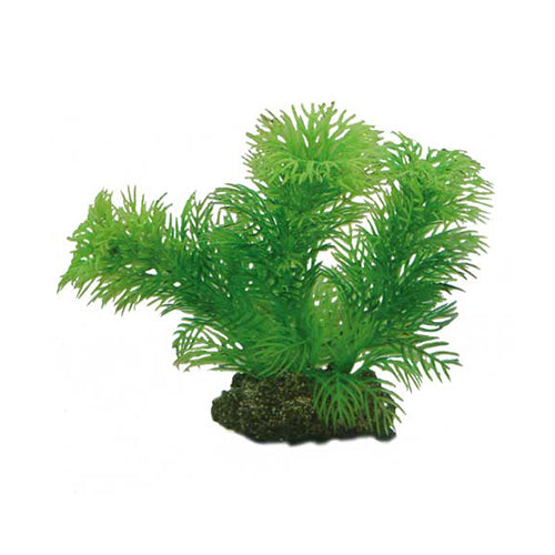 Artificial plant - Egeria 13 cm