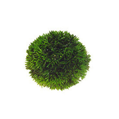 Artificial Plant - Plant Ball Small
