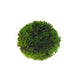 Artificial Plant - Plant Ball Small