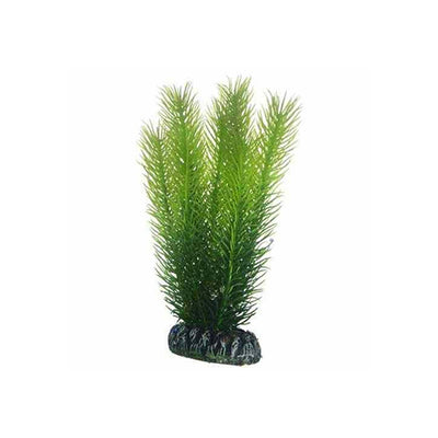 Artificial Plant - Mayaca Medium