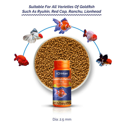 Gold Fish Food Big Floating Pellets