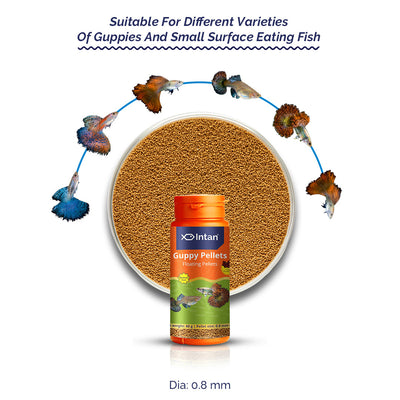 Guppy Fish Food Floting Pellets