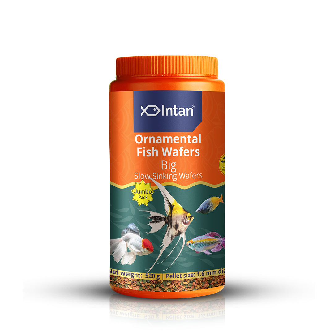 Ornamental Fish Food Slowly Sinking Big Wafers