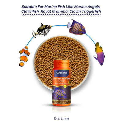 Marine Fish Food Wafers Small Slowly Sinking