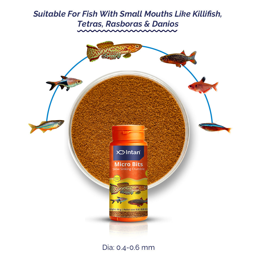 Micro Bits Fish Food Slowly Sinking