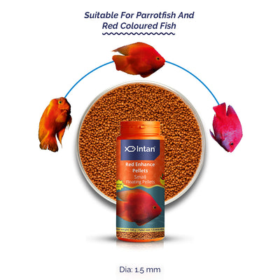 Parrot fish food Red Enhance Small Floating Pellet