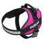 IDC Powerharness - Dark Pink