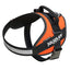 IDC High Visibility Powerharness - UV Orange