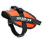 IDC High Visibility Powerharness - UV Orange