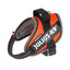 IDC Powairharness - Orange