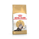 Feline Breed Nutrition Persian Adult