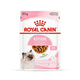 Feline Health Nutrition Kitten Gravy Wet Food - 85g