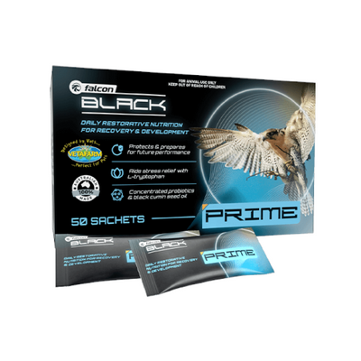 Falcon Black Prime 50 sachets