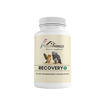 Your Parrot Recovery Plus
