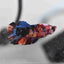 Bett Nemo Koi Male - L
