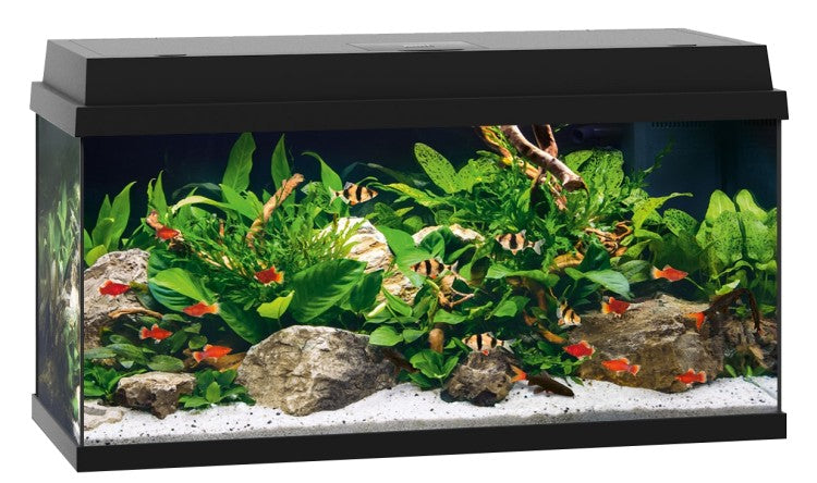 Primo 110 LED - Black aquarium Full set