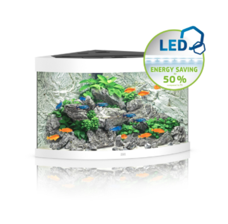 مجموعة كاملة من حوض السمك Trigon 190 LED