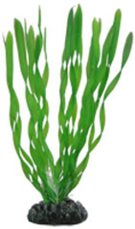 Artificial plant - Vallisneria 34 cm