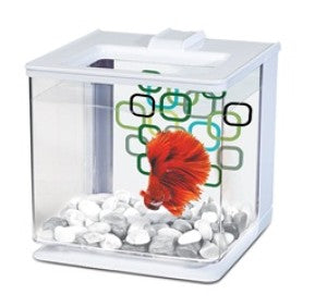 Marina Betta Kit 2.5L