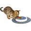 Cat It Design Senses Scratch Pad