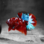 Betta Koi Red Galaxy - L