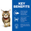 Hill's Science Plan Kitten Food with Tuna 3 Kg